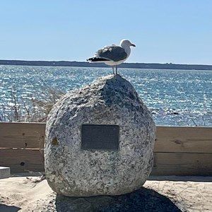 Meet your Posher, Maureen